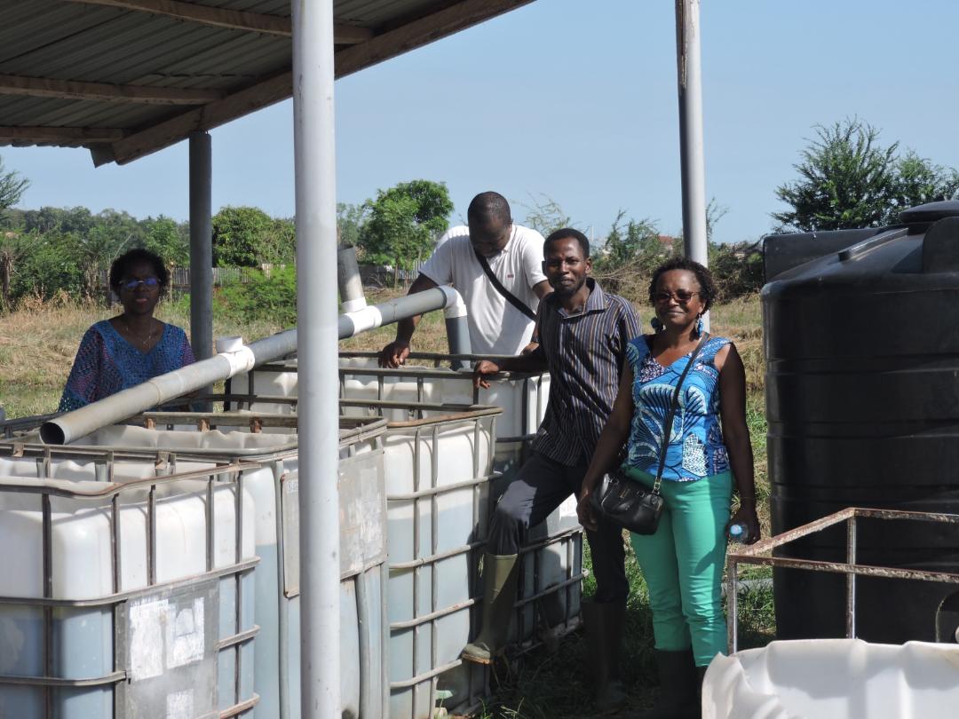 Mission conjointe HCRCE-ADRNS au Ghana -visite de la ferme d’élevage de tilapias et poissons-chats