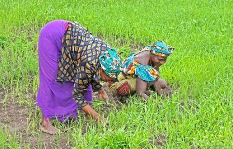 3ème conférence internationale en Suède, sur les droits fonciers des femmes et des communautés indigènes 